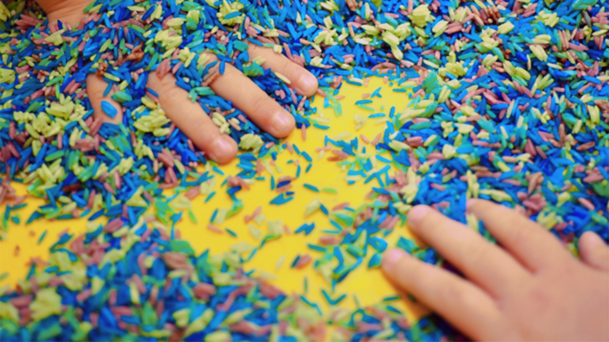 Regenbogenreis Beitragsbild