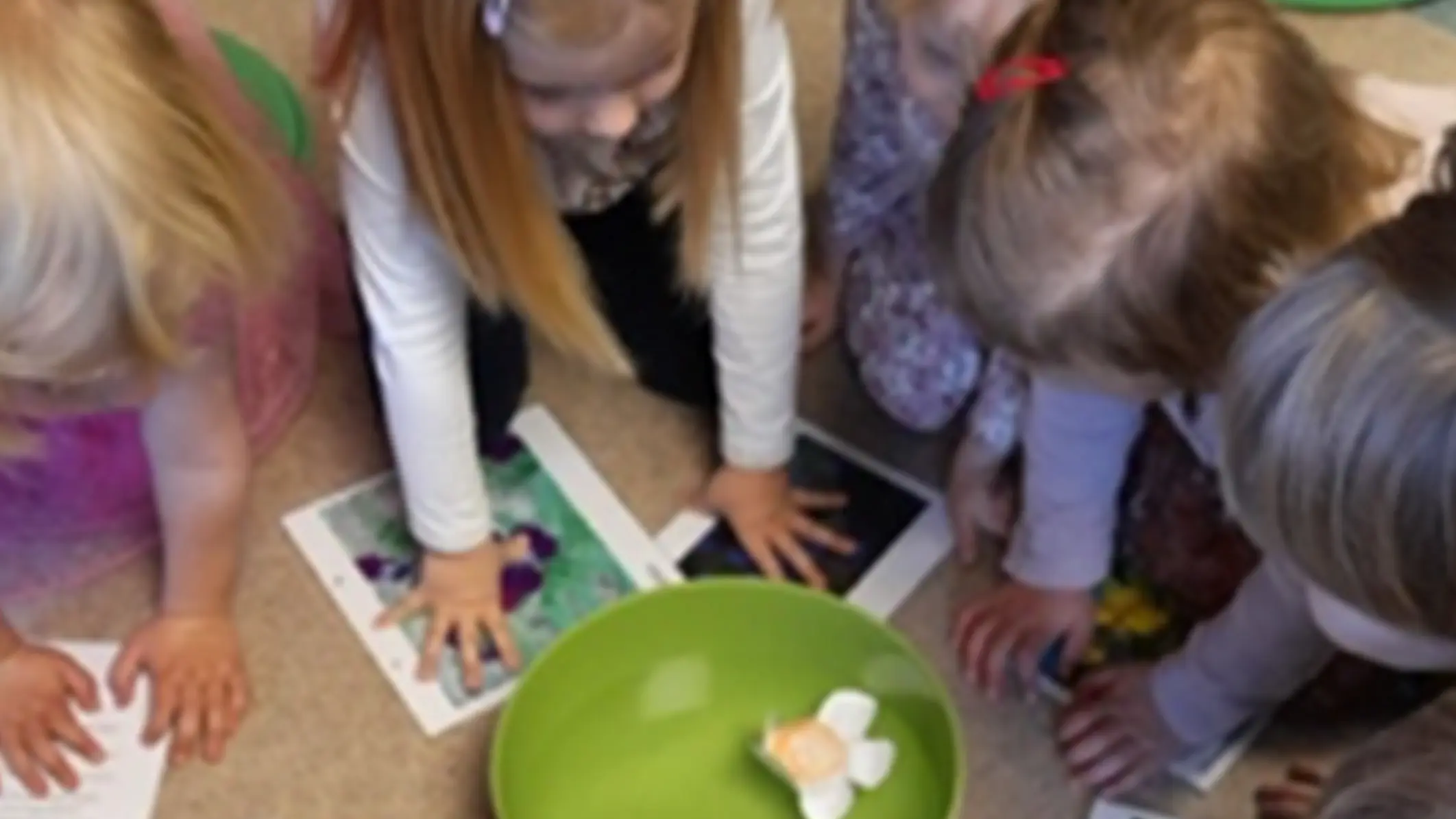 Magische Blumen Spielkiste Schlins