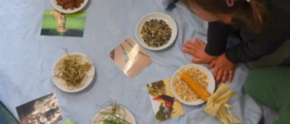 Spielkiste Schlins Wir-laden-ein Projekt
