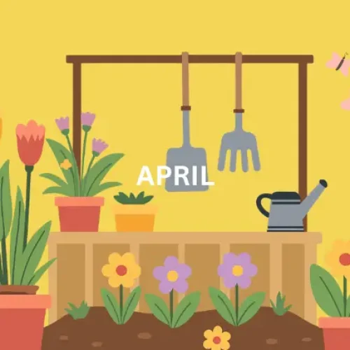 April Beitrag Webseite Banner
